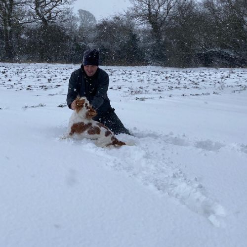 Dogslikesnowtoo
