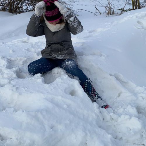 Fallinginthesnow