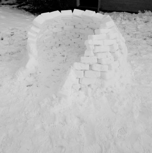 Igloo