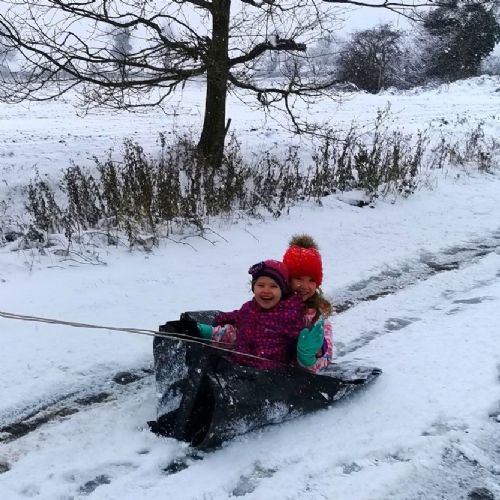 Sledging