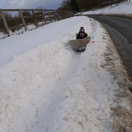 Sledging11)