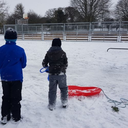 Sledging2