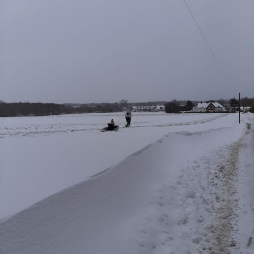 Sledgingfun1