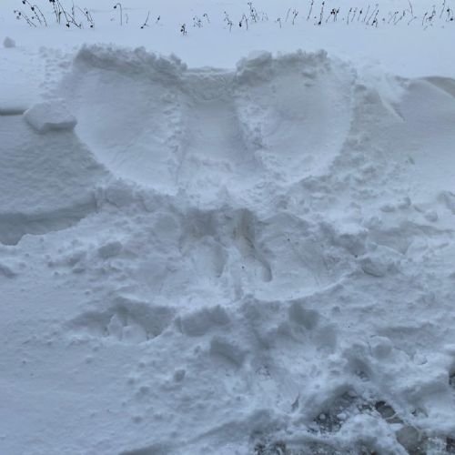 Snowangel7