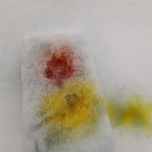 Snowart1