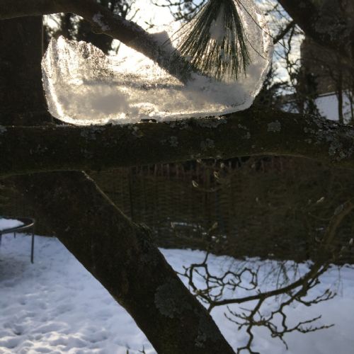 Snowart7
