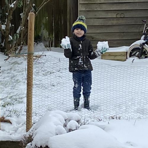 Snowballs1