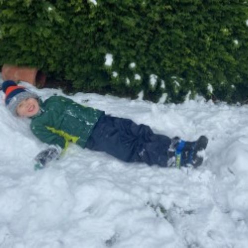 Snowbed