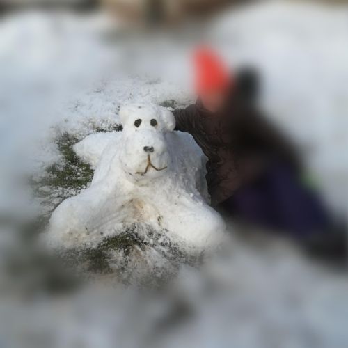 Snowdog