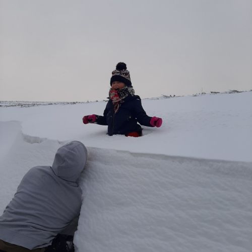 Snowdrift