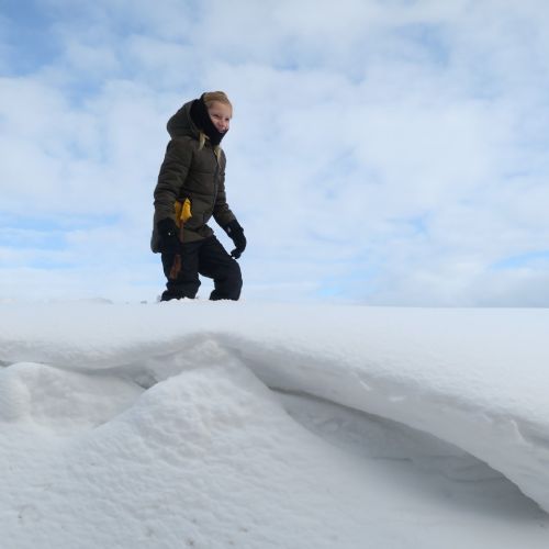 Snowdrift1