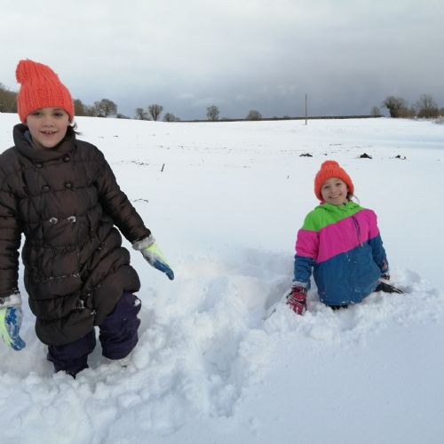 Snowdrift4