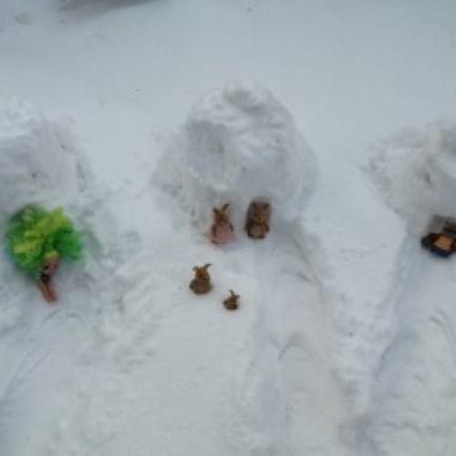Snowhouses